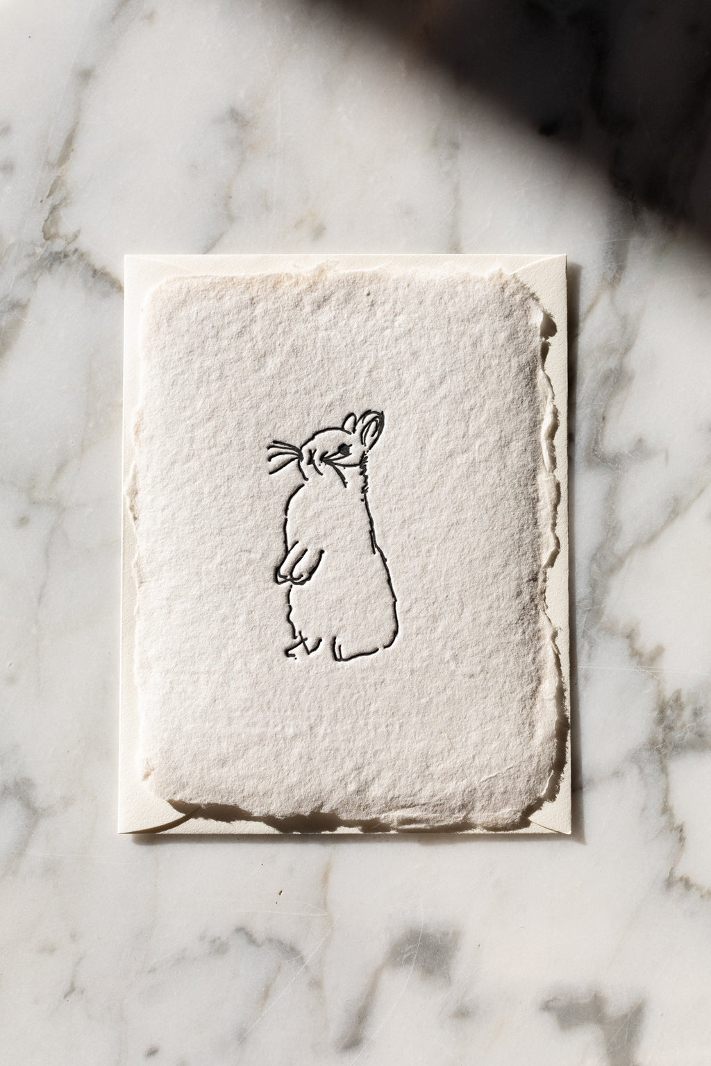 Spring Note Cards
